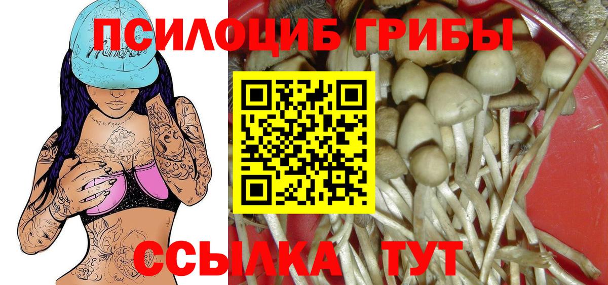 Галлюциногенные грибы мухоморы  Псилоцибиновые грибы ЛСД  Белово  как найти закладки  Вход с VPN 