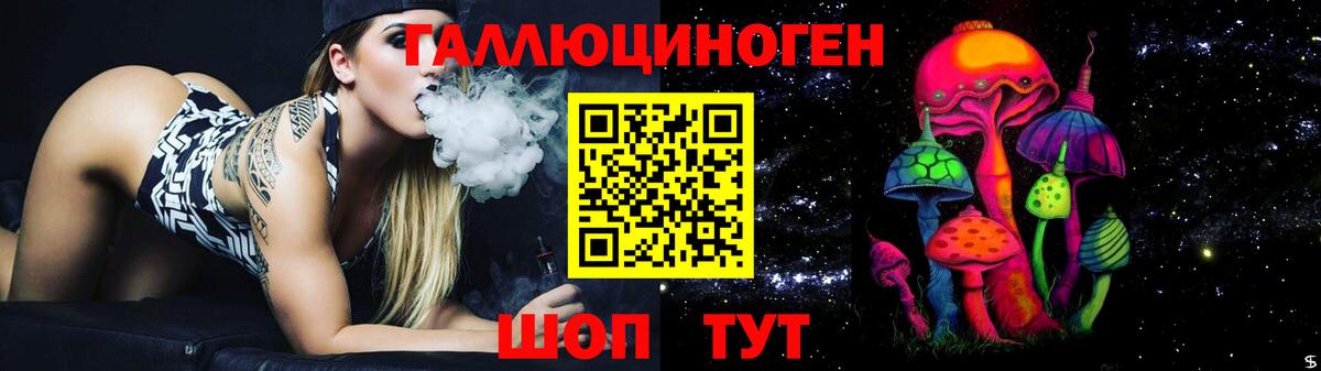 Псилоцибиновые грибы Psilocybine cubensis Белово